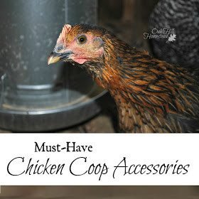 Homestead Blog Hop Feature - Oak Hill Homestead