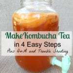 How to Make Kombucha Tea in 4 Easy Steps. Get probiotics,, vitamins, and minerals for a better natual healthy gut from Simple Life Mom