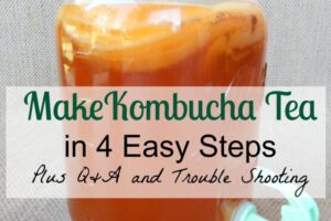 How to Make Kombucha Tea in 4 Easy Steps. Get probiotics,, vitamins, and minerals for a better natual healthy gut from Simple Life Mom