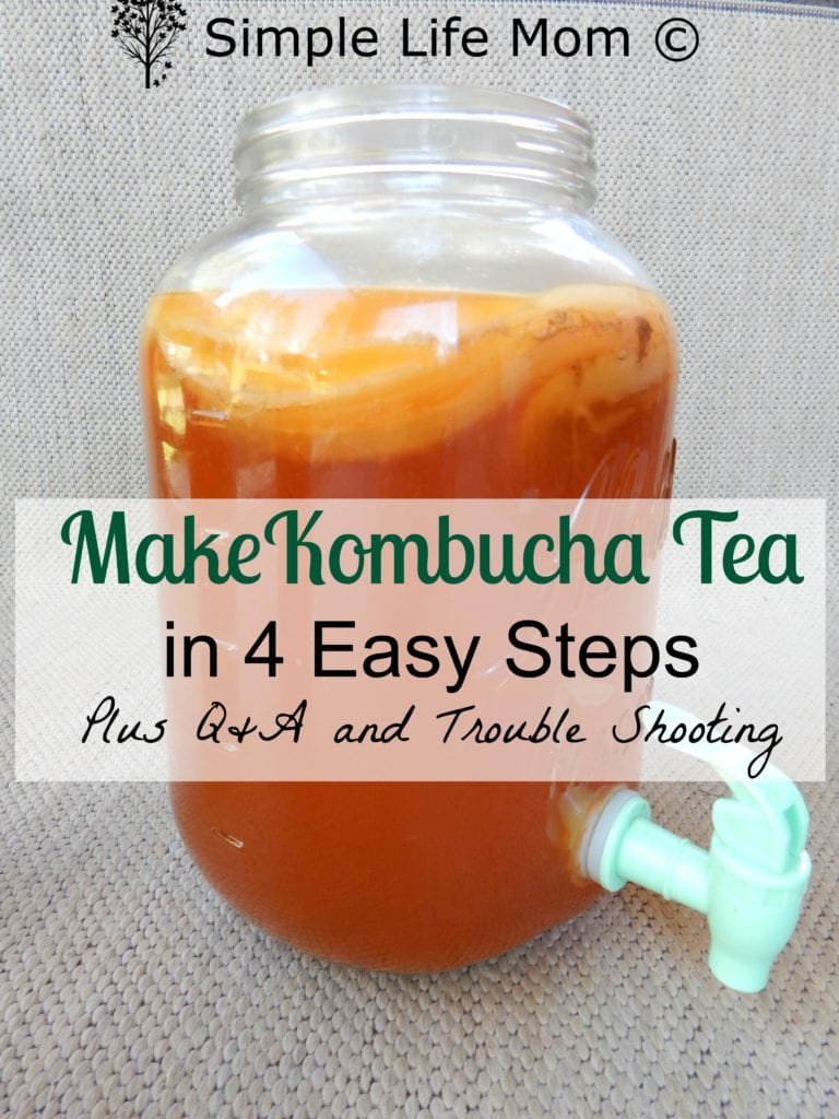 How to Make Kombucha – Easy Step by Step Instructions - Simple Life Mom