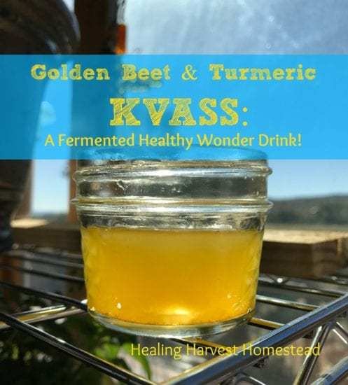 Homestead Blog Hop Feature - Golden Beet and Turmeric Kvass