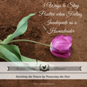 Homestead Blog Hop Feature from Hall Heritage Homestead