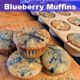 Perfect Blueberry Muffin Recipe – Quick and Easy