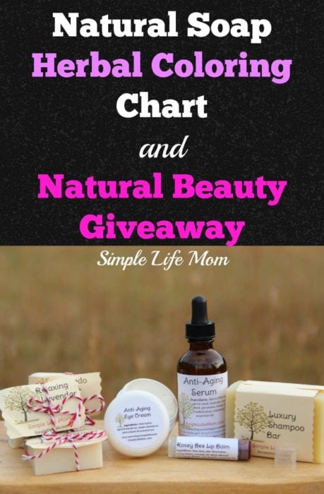 Color Soap Naturally and Natural Beauty Giveaway with Simple Life Mom