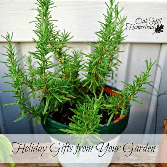 Homestead Blog Hop Feature - gifts from the garden