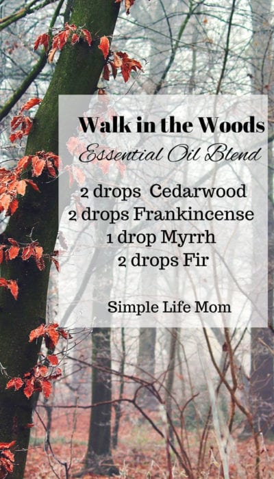 15 Fall Essential Oil Diffuser Blends  - Walk in the Woods from Simple Life Mom