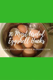 Homestead Blog Hop - 10 Most Useful Eggshell Hacks