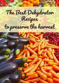Homestead Blog Hop Feature - Dehydrator recipes for produce