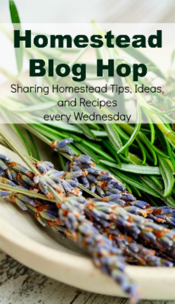 Homestead Blog Hop - Homestead tips, ideas, animal care, and recipes every Wednesday