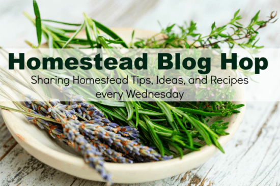 Homestead Blog Hop = Join us for homesteading, DIYs, crafts, real food recipes, herbs, soap making and more.