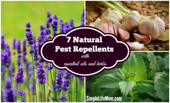 7 Natural Pest Repellents from Simple Life Mom