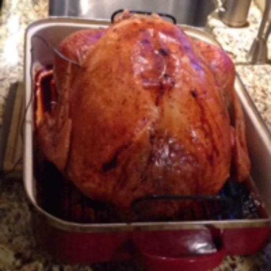 Homestead Blog Hop Feature - tip-friday-turkey-guide-101
