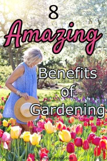 Homestead Blog Hop Feature - 8 Amazing Benefits of Gardening