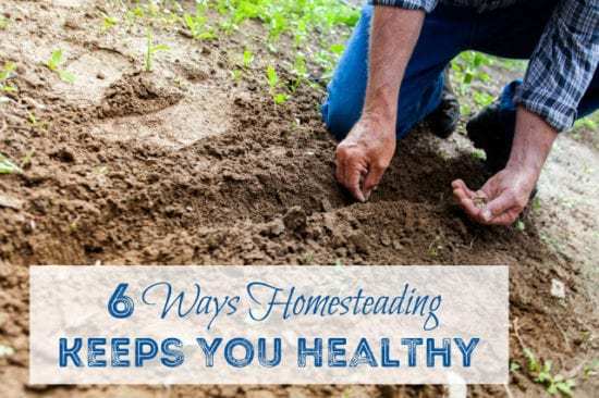 Homestead Blog Hop Feature - 6 Ways Homesteading Keeps You Healthy