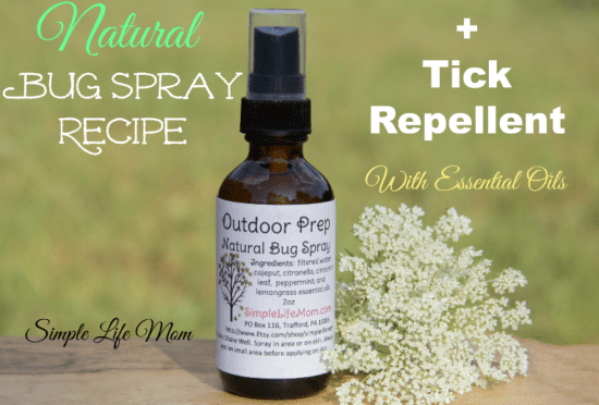 Natural Bug Spray Recipe and Tick Repellent 