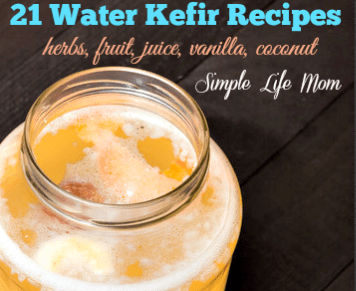 21 Water Kefir Recipes by Simple Life Mom