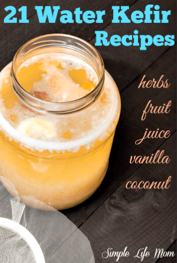 21 Water Kefir Recipes from Simple Life Mom