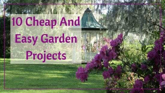 Homestead Blog Hop Feature - 10 cheap and easy-garden-projects