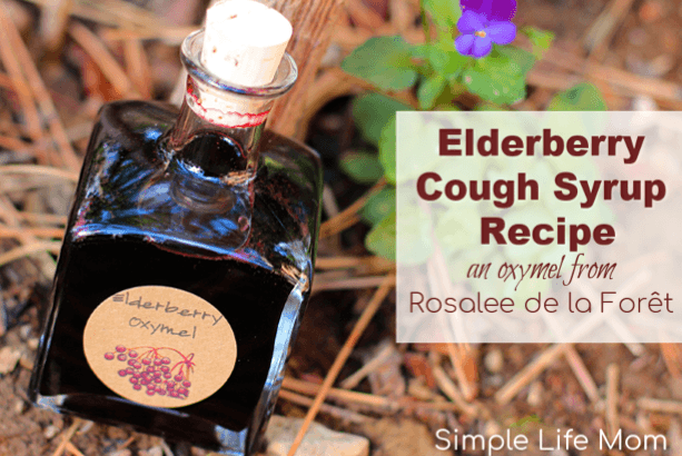 Elderberry Cough Syrup Recipe from Simple Life Mom