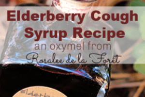 Elderberry Cough Syrup Recipe from Simple Life Mom