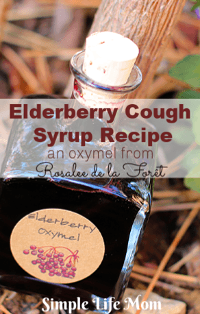 Elderberry Cough Syrup Recipe from Simple Life Mom