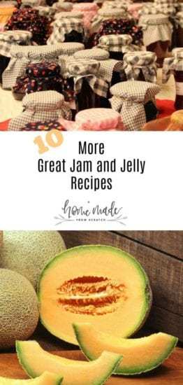 Homestead Blog Hop Feature - 10-more-jam-jelly-recipes