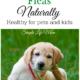 10 Ways to Get Rid of Fleas Naturally