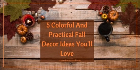 Homestead Blog Hop Feature - 5 Colorful and Practical Fall Decor Ideas You’ll Love