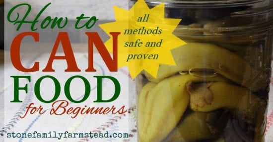 Homestead Blog Hop Feature - How-to-Can-Food-for-Beginners