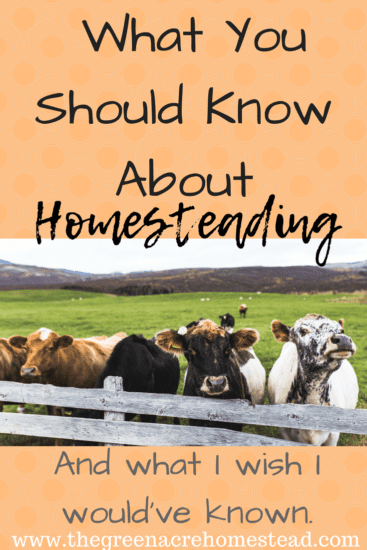 Homestead Blog Hop Feature - What-You-Should-Know-About Homesteading