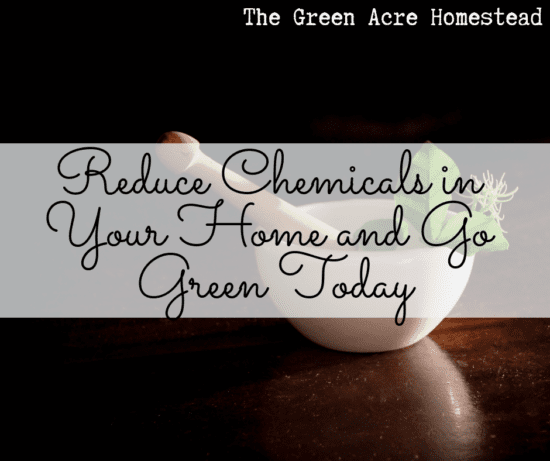 Homestead Blog Hop Feature - Reduce-Chemicals-in-Your-Home-and-Go-Green-Today