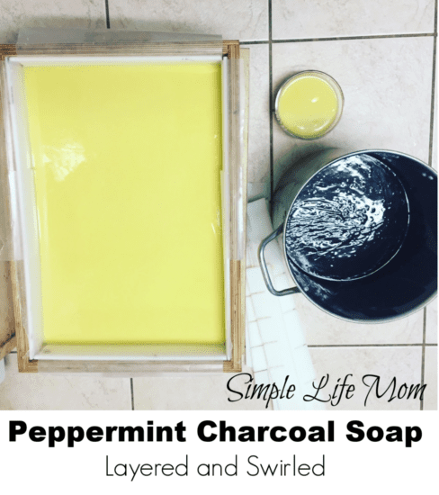 Peppermint Charcoal Soap Recipe