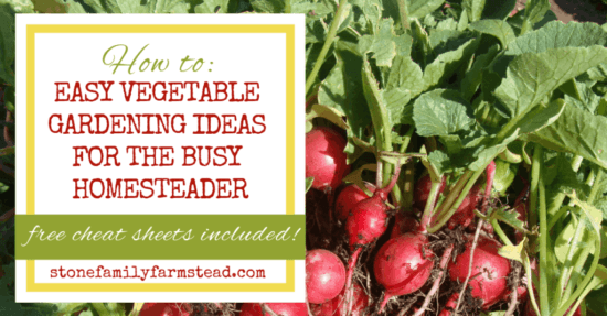 Homestead Blog Hop Feature - How-to_-Easy-Vegetable-Gardening-Ideas-for-the-Busy-Homesteader