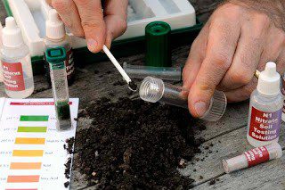 Homestead Blog Hop Feature - How to Raise ph in soil Organically
