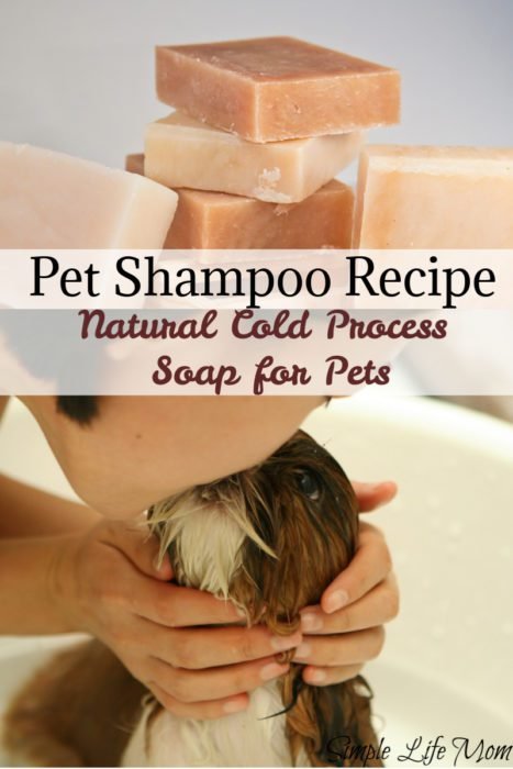 Natural Pet Shampoo Cold Process Soap Recipe Simple Life Mom