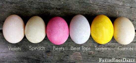 Homestead Blog Hop Feature - Natural Easter Egg Dyes