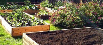 Homestead Blog Hop Feature - raised garden beds