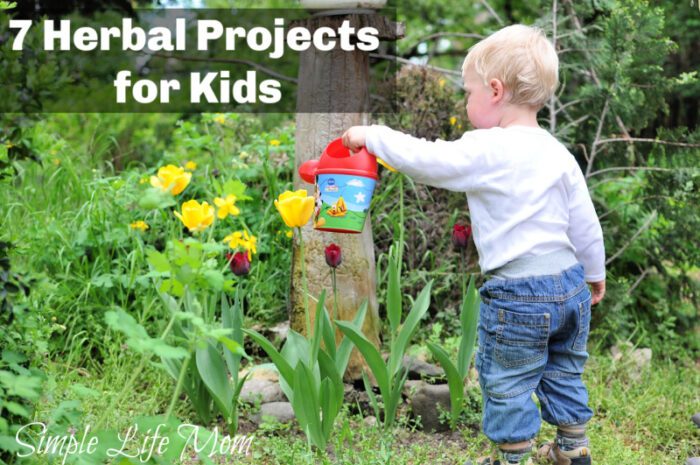 7 Herbal Projects for Kids - Fun Learning Activities from Simple Life Mom