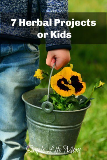 7 Herbal Projects for Kids - Fun Learning Activities from Simple Life Mom