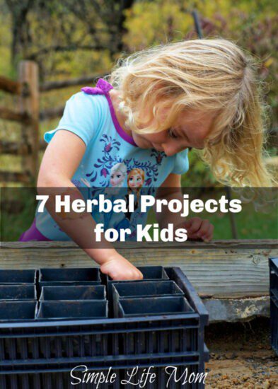 7 Herbal Projects for Kids from Simple Life Mom