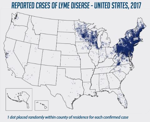 Lyme Disease Herbs and Essential Oils - CDC 2017 diagnosis map