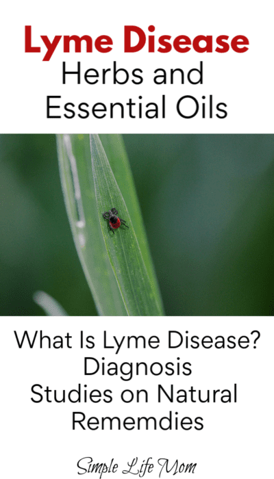 Lyme Disease Herbs and Essential Oils by Simple Life Mom