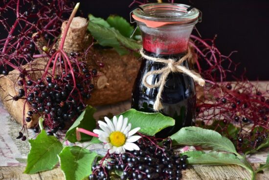 Homestead Blog Hop Feature - Elderberry Immune Syrup
