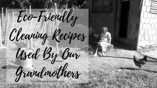 Homestead Blog Hop Feature - Eco-Friendly-Cleaning-Recipes-Used-By-Our-Grandmothers