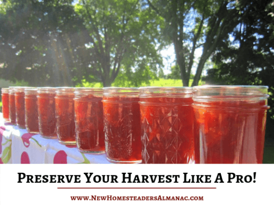 Homestead Blog Hop Feature - Hoe to Preserve your harvest like a pro
