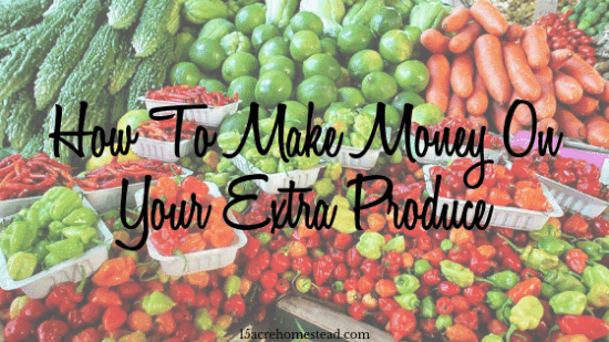 Homestead Blog Hop Feature - How-To-Make-Money-On-Your-Extra-Produce