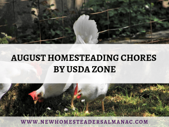 Homestead Blog Hop Feature - August-Homesteading-Chores-By-USDA-Zone