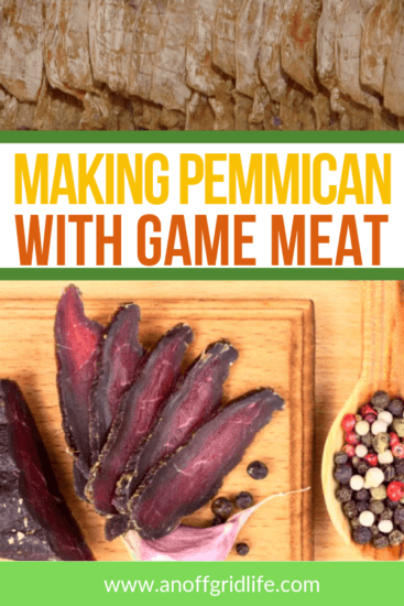 Homestead Blog Hop Feature - Making-Pemmican-With-Game-Meat