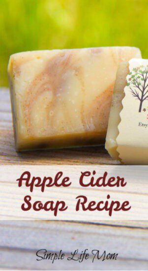 Apple Cider Soap Recipe From Simple Life Mom
