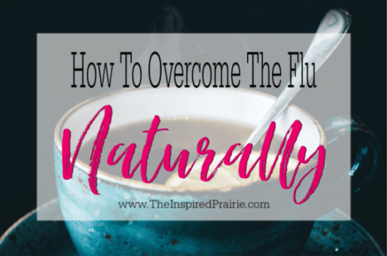 Homestead Blog Hop Feature - How to Overcome the Flu Naturally